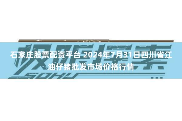 石家庄股票配资平台 2024年7月31日四川省江油仔猪批发市场价格行情