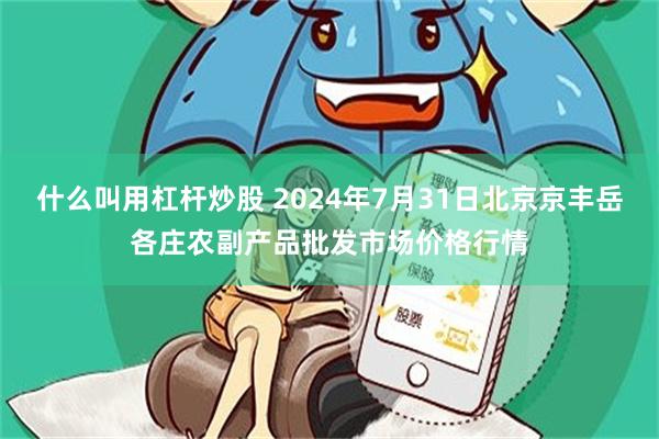 什么叫用杠杆炒股 2024年7月31日北京京丰岳各庄农副产品批发市场价格行情