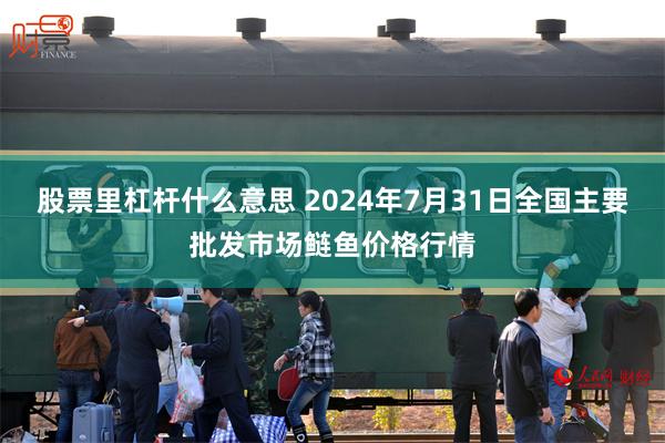 股票里杠杆什么意思 2024年7月31日全国主要批发市场鲢鱼价格行情