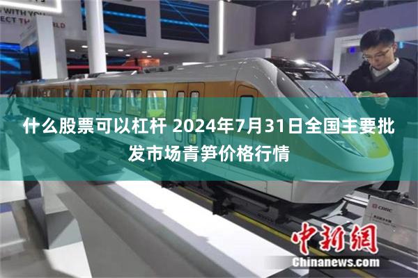 什么股票可以杠杆 2024年7月31日全国主要批发市场青笋价格行情