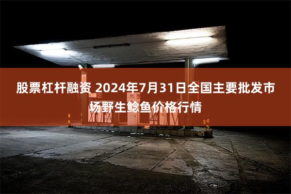 股票杠杆融资 2024年7月31日全国主要批发市场野生鲶鱼价格行情