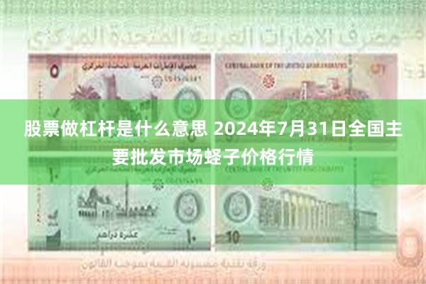 股票做杠杆是什么意思 2024年7月31日全国主要批发市场蛏子价格行情