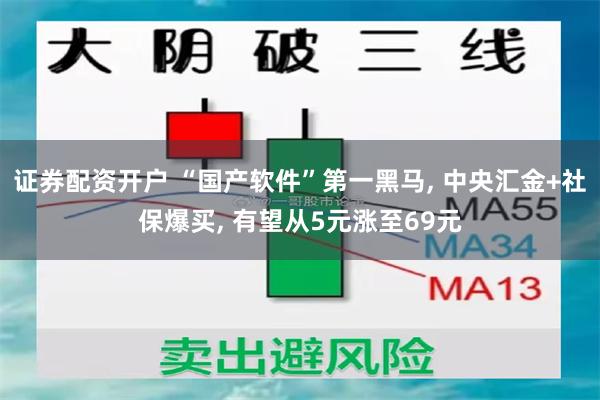 证券配资开户 “国产软件”第一黑马, 中央汇金+社保爆买, 有望从5元涨至69元