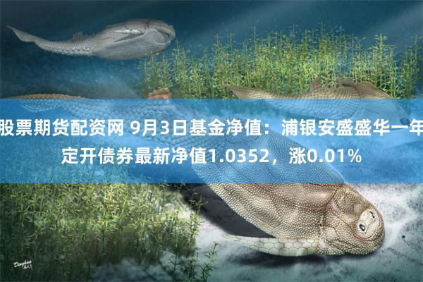 股票期货配资网 9月3日基金净值：浦银安盛盛华一年定开债券最新净值1.0352，涨0.01%