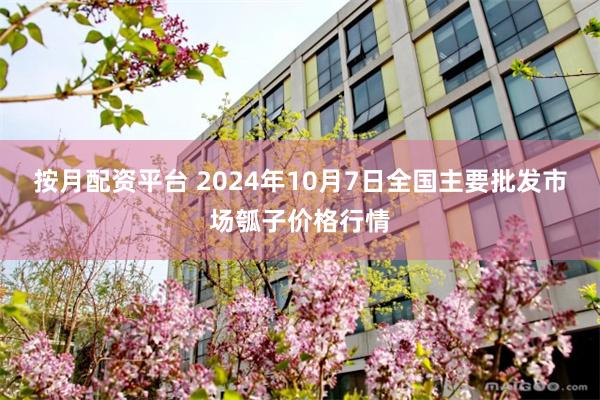 按月配资平台 2024年10月7日全国主要批发市场瓠子价格行情