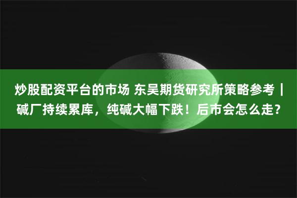 炒股配资平台的市场 东吴期货研究所策略参考｜碱厂持续累库，纯碱大幅下跌！后市会怎么走？