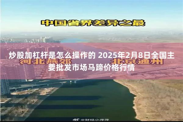 炒股加杠杆是怎么操作的 2025年2月8日全国主要批发市场马蹄价格行情