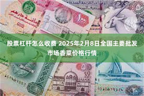 股票杠杆怎么收费 2025年2月8日全国主要批发市场香菜价格行情