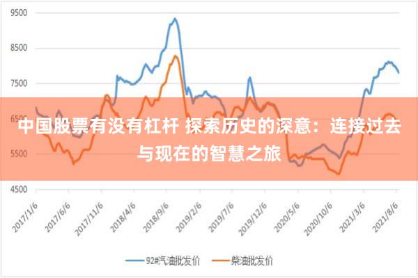 中国股票有没有杠杆 探索历史的深意：连接过去与现在的智慧之旅