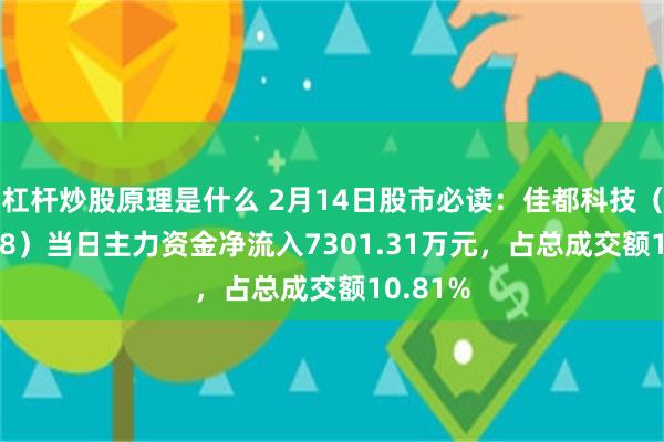 杠杆炒股原理是什么 2月14日股市必读：佳都科技（600728）当日主力资金净流入7301.31万元，占总成交额10.81%