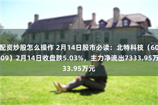 配资炒股怎么操作 2月14日股市必读：北特科技（603009）2月14日收盘跌5.03%，主力净流出7333.95万元