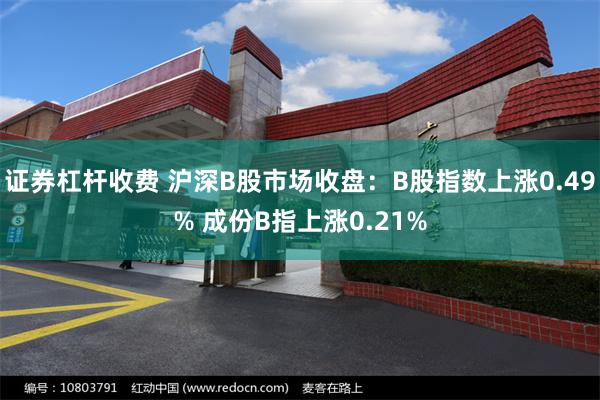 证券杠杆收费 沪深B股市场收盘：B股指数上涨0.49% 成份B指上涨0.21%